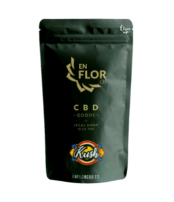 cbd en zaragoza tienda