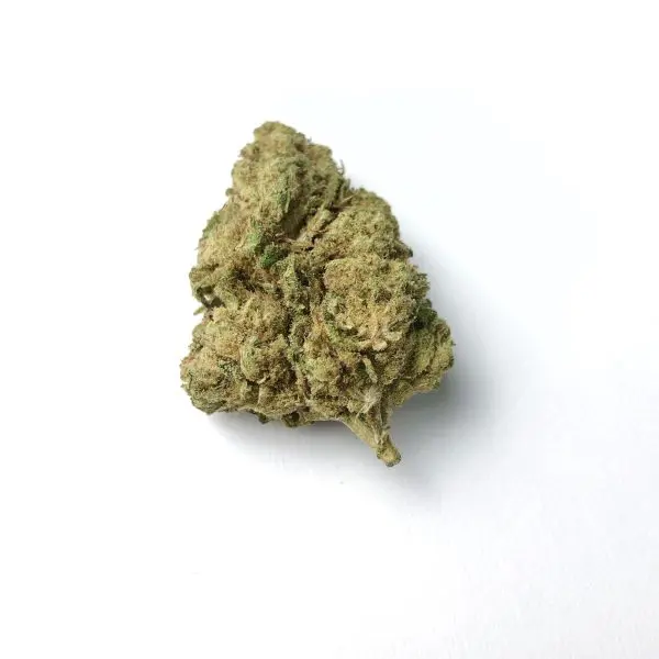 Cheedar Cheese - Imagen 2