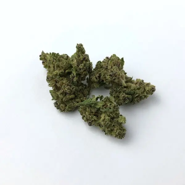 Forbident Fruit (small buds) - Imagen 2