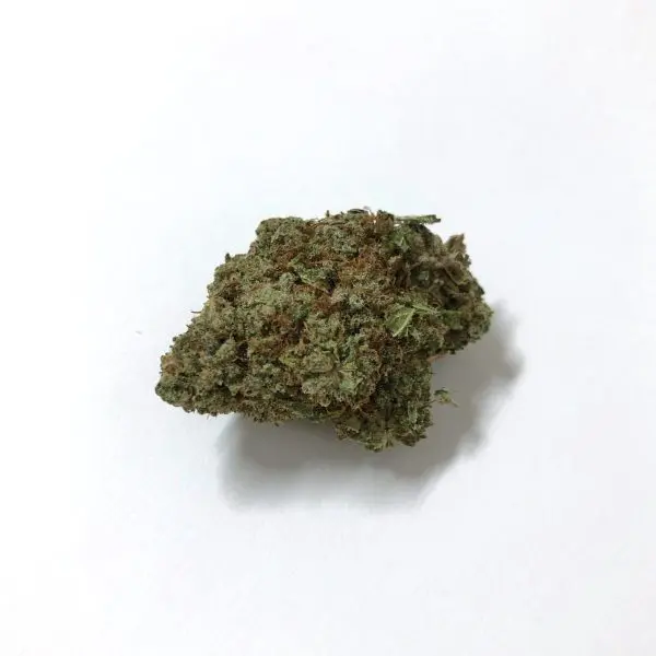 Apple Fritter - Imagen 2