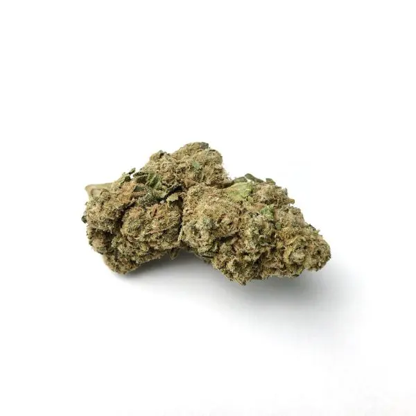 Tropical Runtz - Imagen 2