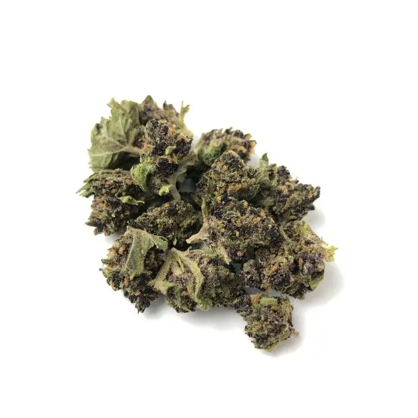 Purple Haze (small buds) - Imagen 2