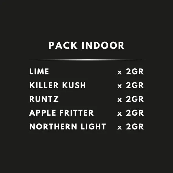 Pack Indoor - Imagen 3