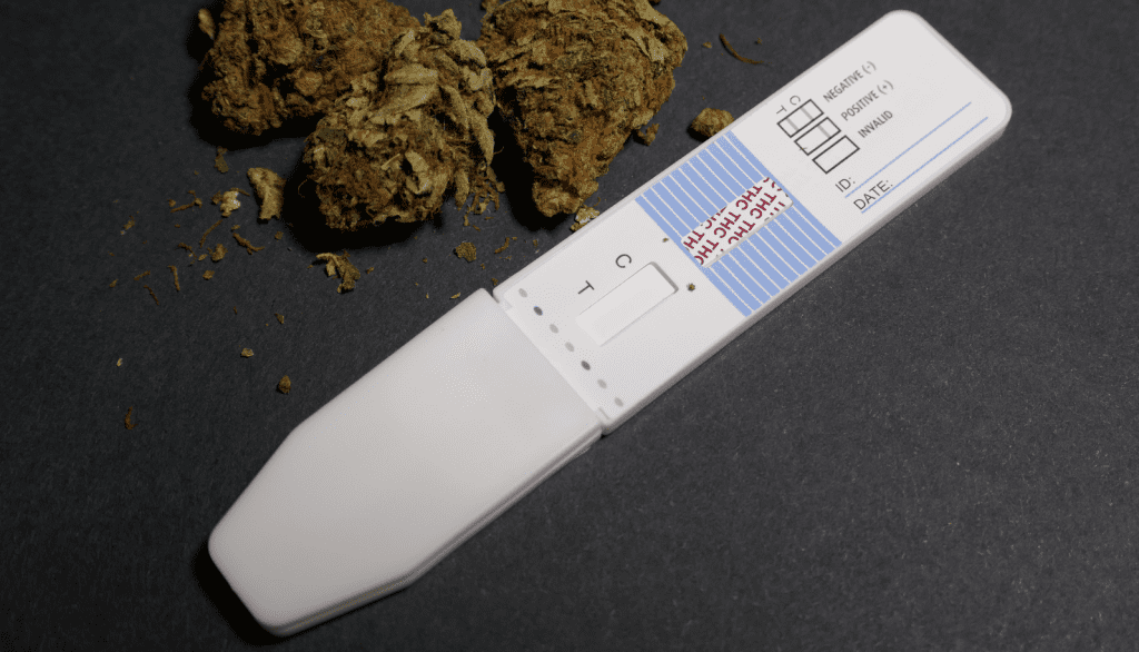 El CBD da positivo en test de saliva u orina?