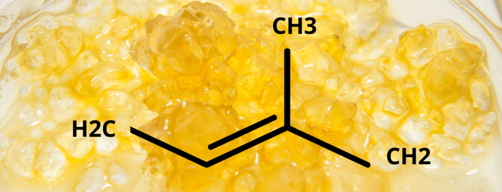 estructura química de los terpenos